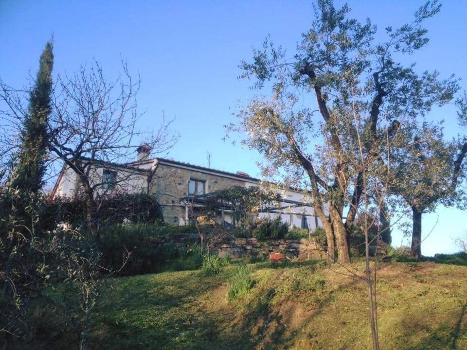 Agriturismo Menghino Nievole Exterior foto